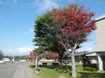 総合南東北福祉センターの敷地内のサムネール画像